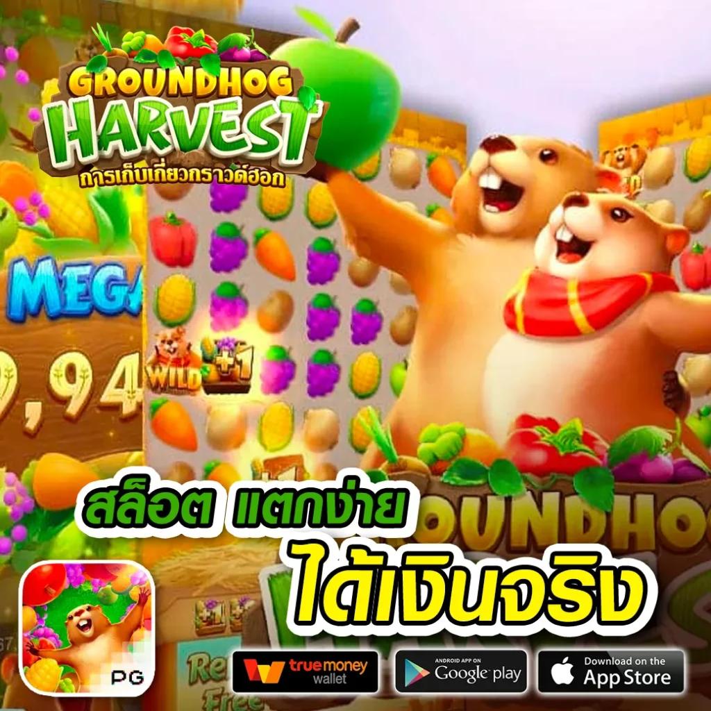 ผลบอลทุกลีกวันนี้ ศูนย์รวมสกอร์อัปเดตล่าสุดและวิเคราะห์แม่นยำ